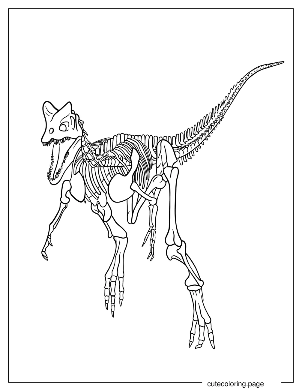 Dilophosaurus Skeleton coloring page