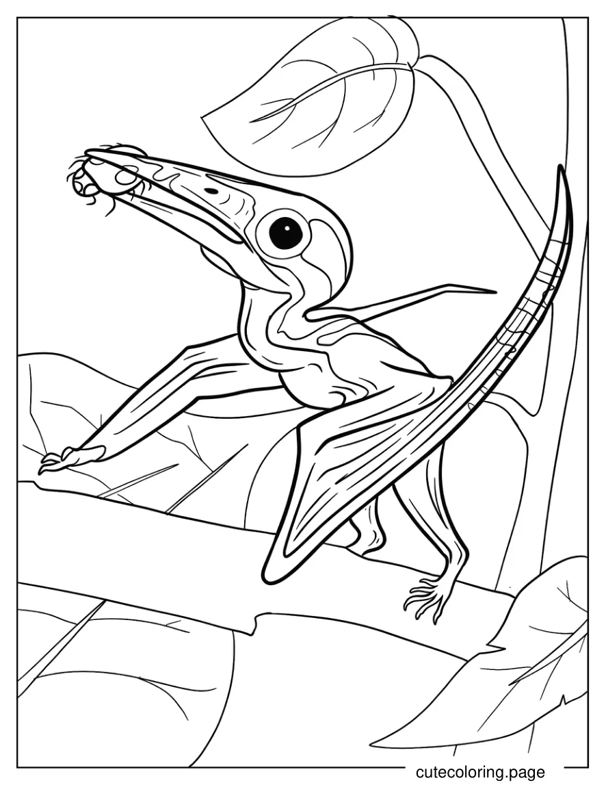 Baby Pterodactyl Eating Bug Coloring Page coloring page