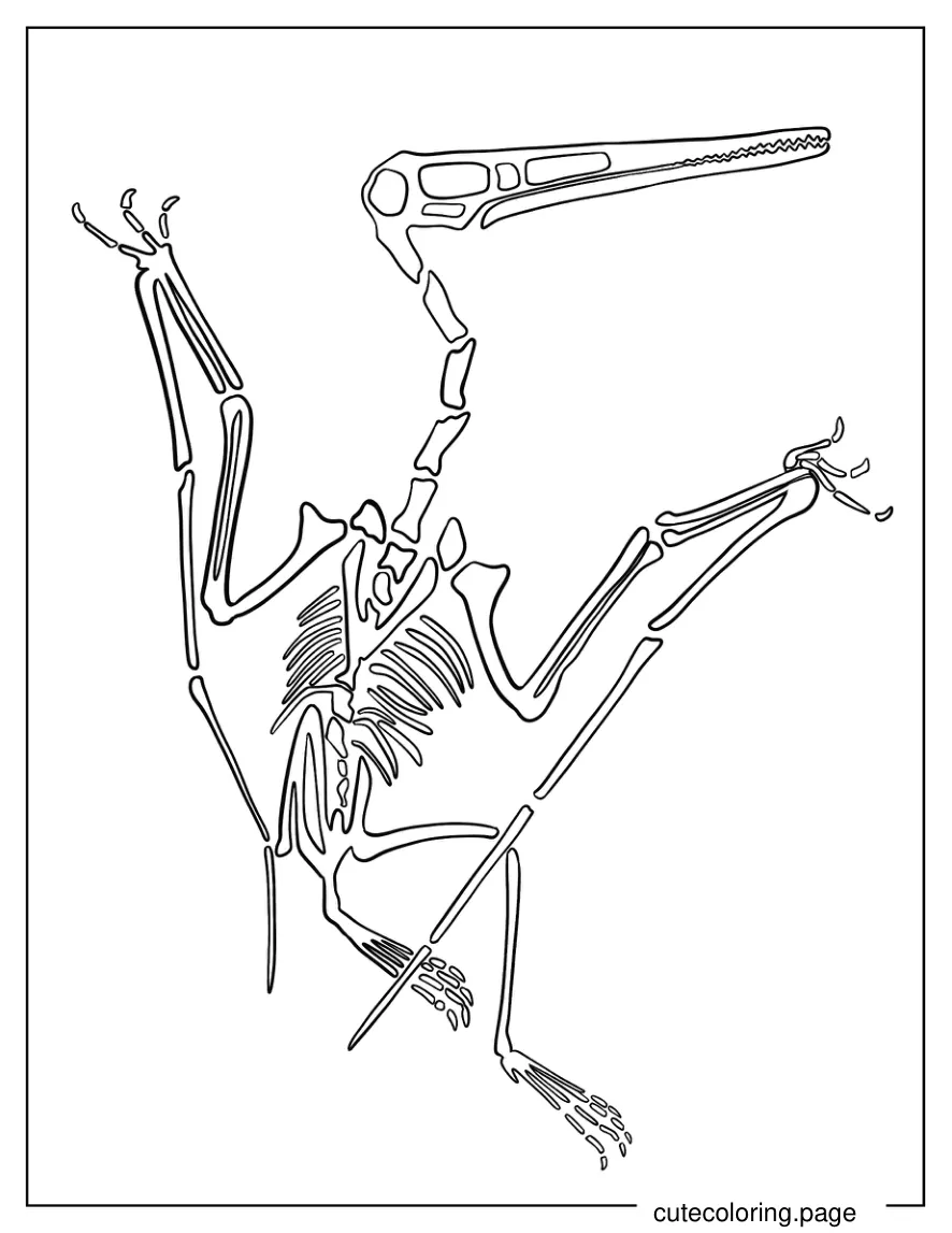 Pterodactyl Fossil Coloring Page coloring page