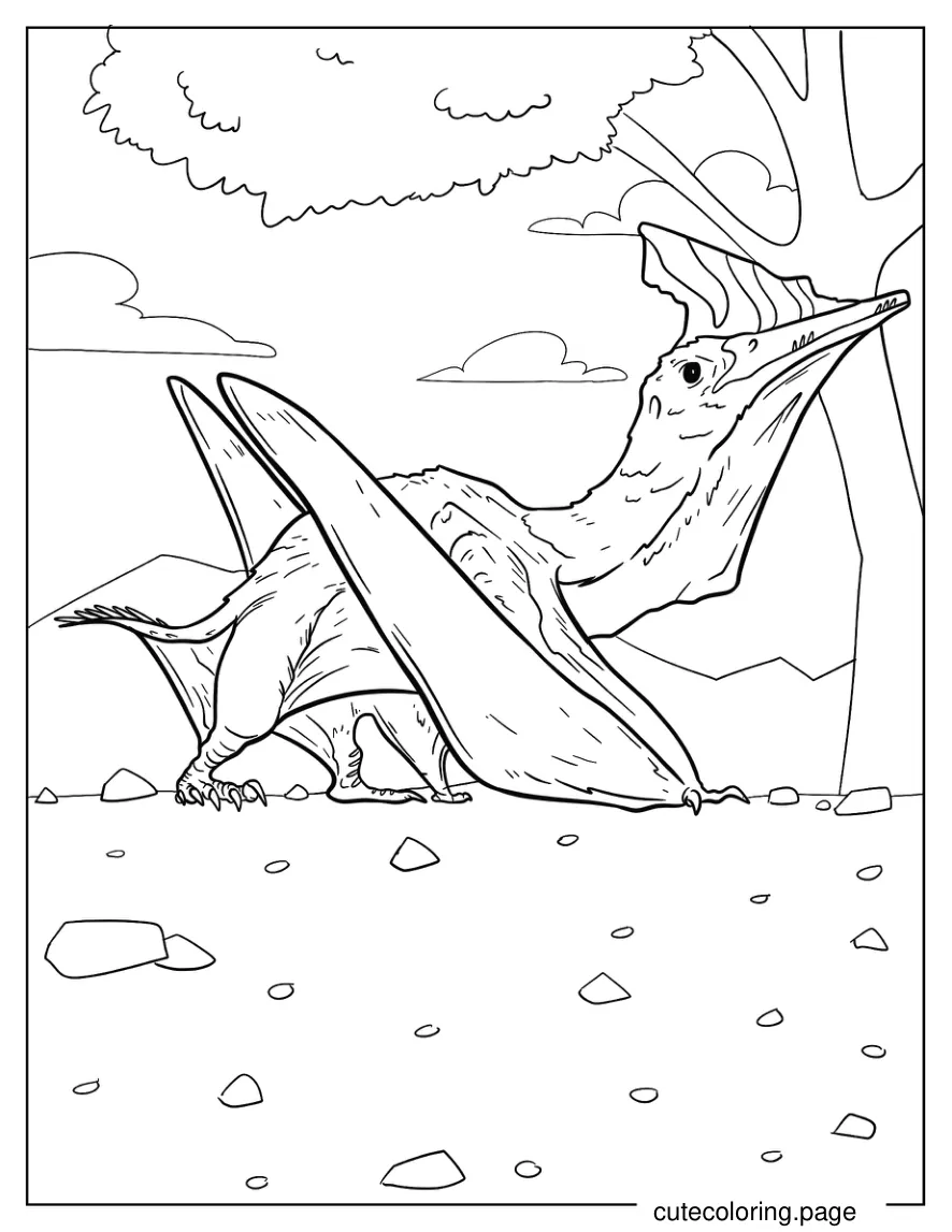 Pterodactyl Resting Beside Tree coloring page