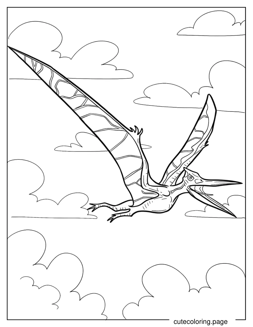 Pterodactyl With Sharp Beak Coloring Sheet coloring page