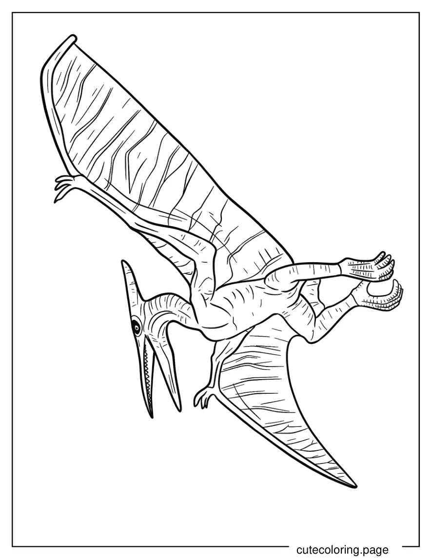 Pterodactyl With Textured Skin And Detailed Wings coloring page