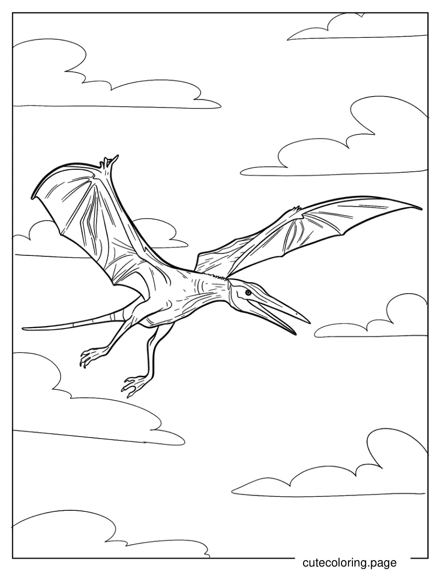 Small Pterodactyl Flying In The Sky coloring page